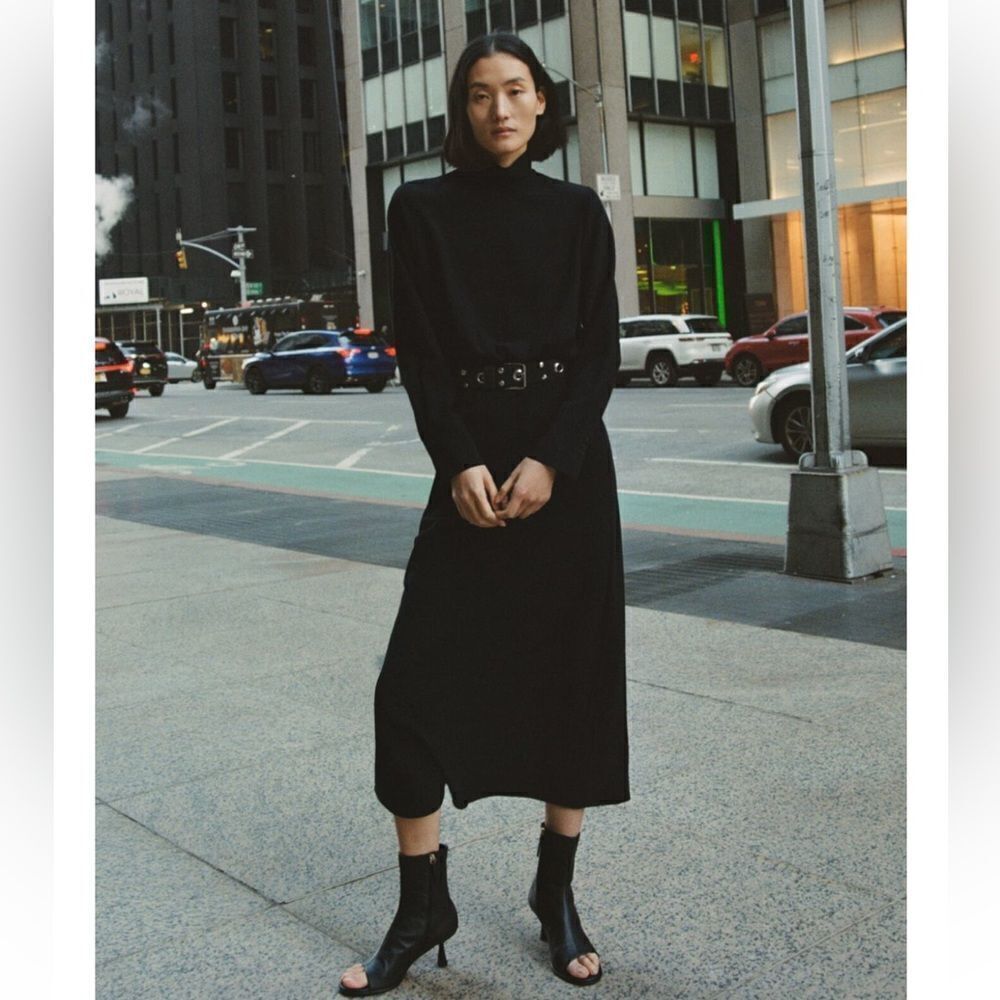 Zara High Collar Black Midi Dress